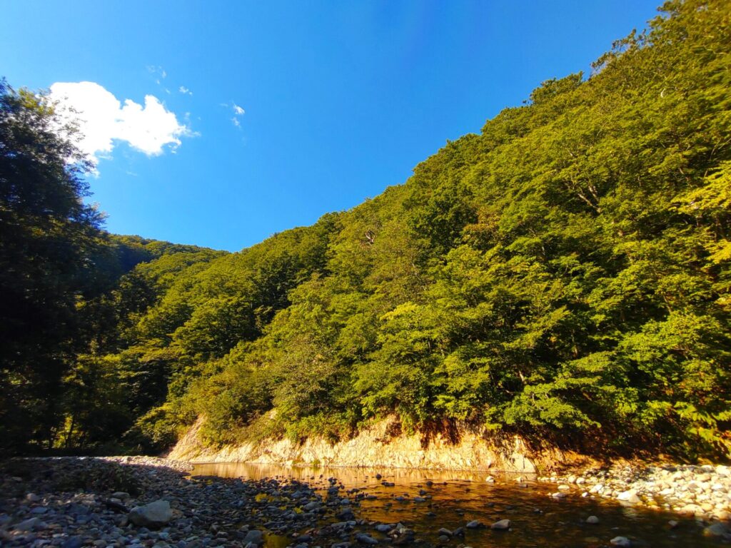 DSC 0263 1 1024x768 - 白神山地【青森県】