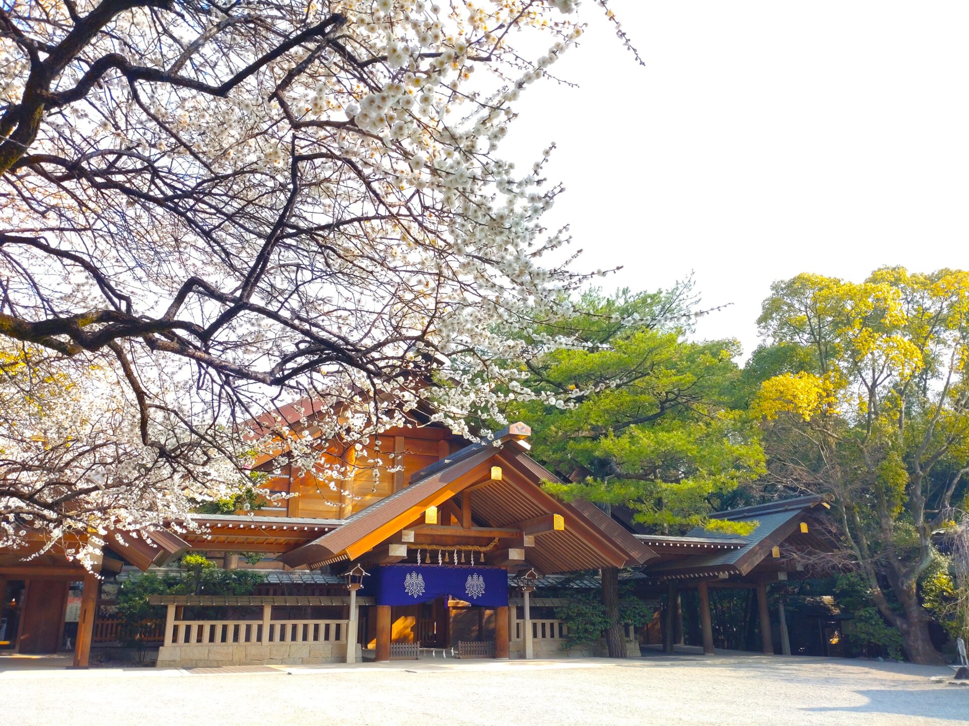 日本の神社 020号 熱田神宮 Amazon.com: 日本の神社 20号 (熱田神宮) [分冊百科]: Books