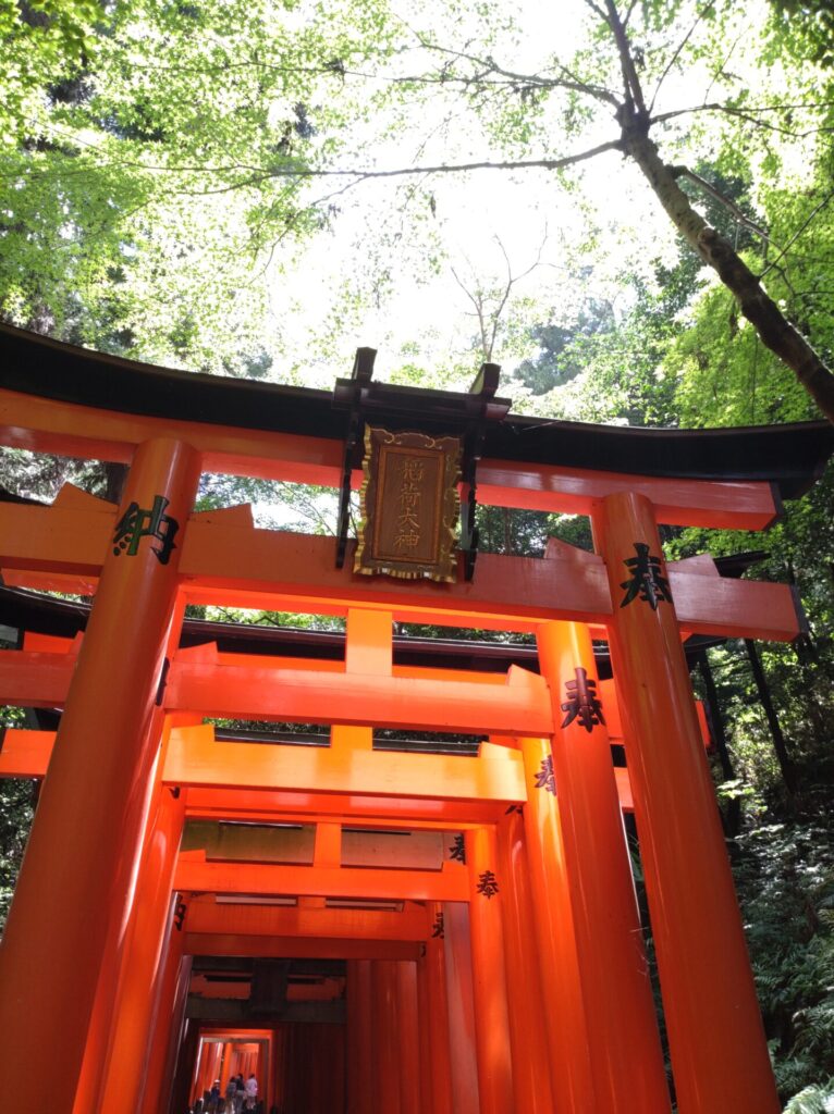 DSC 0311 766x1024 - Fushimi Inari-taisha Shrine [Kyoto]