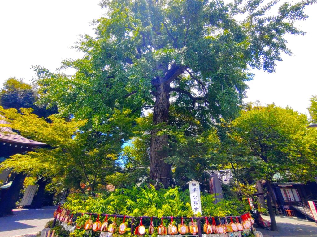 DSC 03462 1024x768 - Nanasha-jinja Shrine [Tokyo]