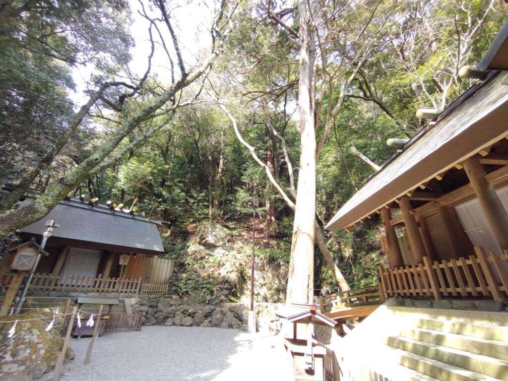 DSC 0351 1024x768 - Tado-taisha Shrine [Mie]