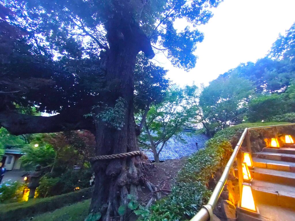 DSC 0391 1 1024x768 - ホテル椿山荘の庭園と蛍【東京都】