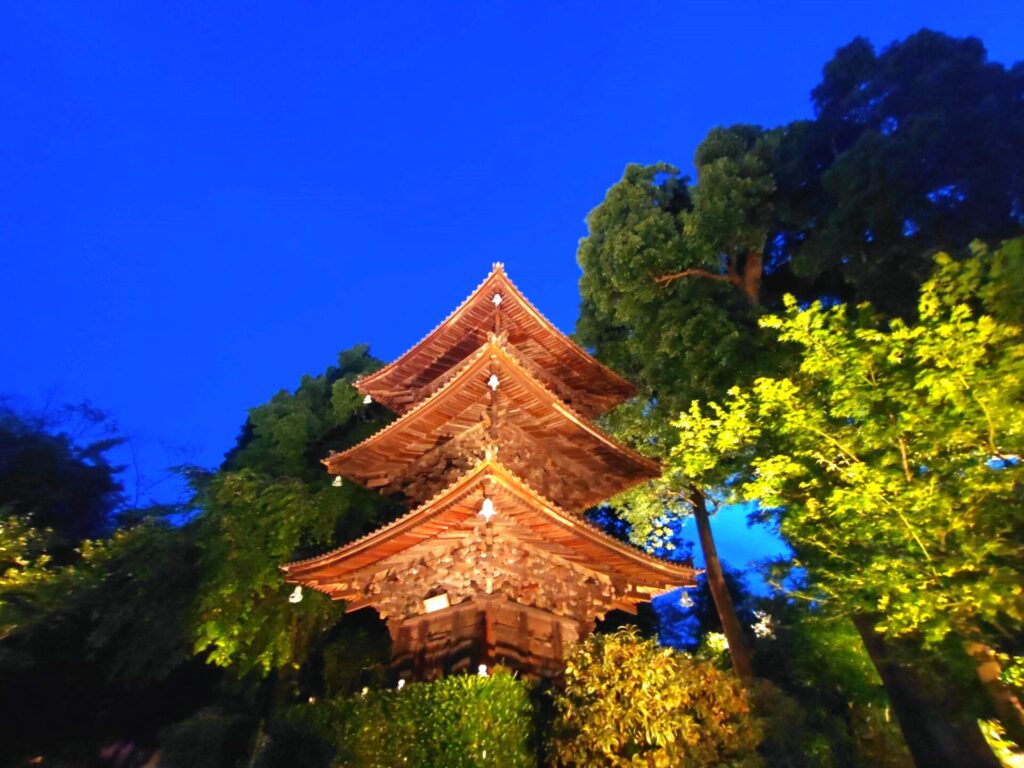 DSC 0427 1 1024x768 - ホテル椿山荘の庭園と蛍【東京都】
