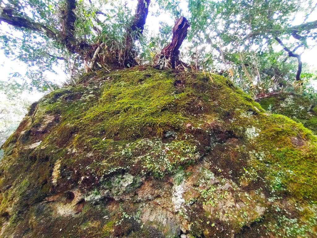 火の神・軻遇突智神（カグツチノカミ）を祀る花の窟神社の社殿と岩壁