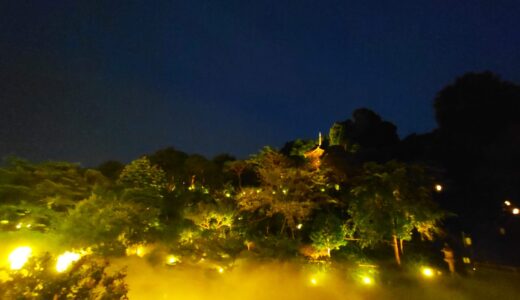 ホテル椿山荘の庭園と蛍【東京都】