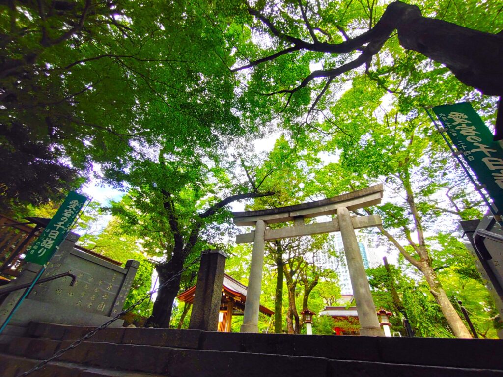 DSC 0539 1024x768 - 愛宕神社【東京都】