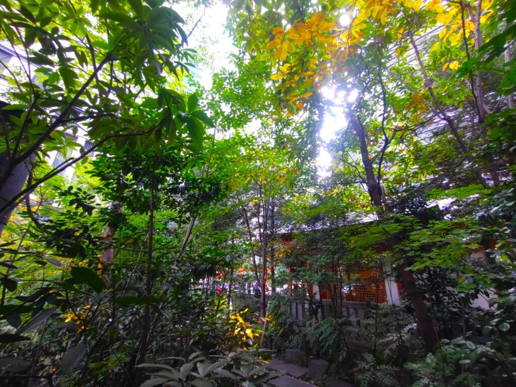 DSC 0549 1024x768 - 福徳神社(芽吹稲荷)【東京都】