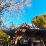 DSC 0655 2 150x150 - 雑司が谷鬼子母神堂（法明寺）【東京都】