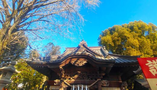 DSC 0655 2 520x300 - Higashifushimi Inari Shrine [Tokyo]