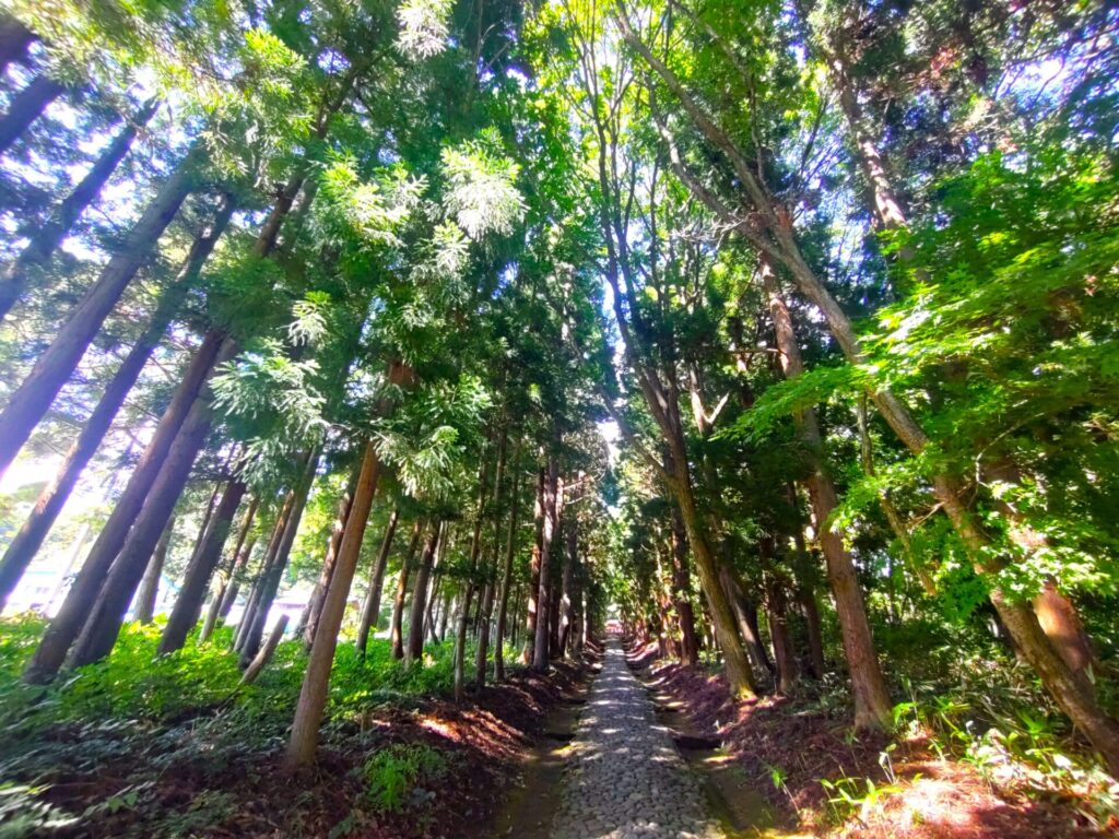 DSC 0675 1024x768 - 土津神社【福島県】