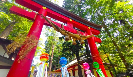 DSC 0786 520x300 - Sesshoseki Inari Shrine [Fukushima]