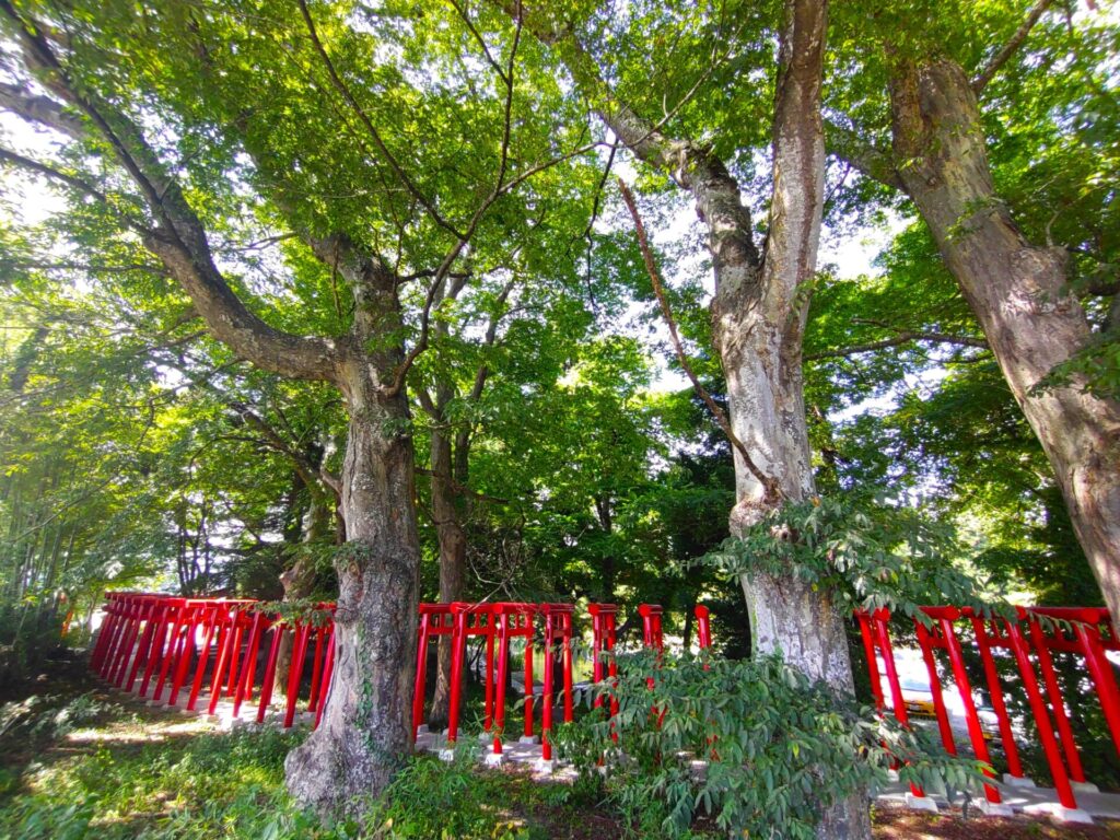 DSC 0801 1024x768 - Sesshoseki Inari Shrine [Fukushima]