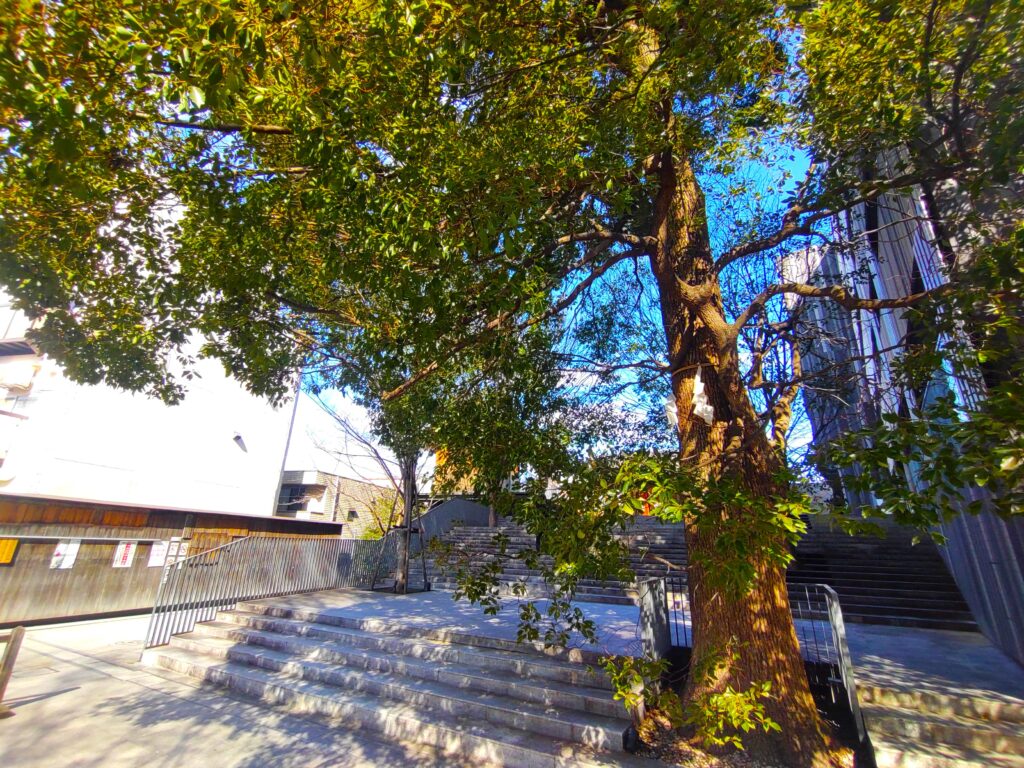 【新宿〜市ヶ谷】眼病平癒の神社を結ぶ歴史散歩。諏訪神社から茶ノ木稲荷神社を巡る開運ルート DSC 0838 1024x768 - 【新宿〜市ヶ谷】眼病平癒の神社を結ぶ歴史散歩。諏訪神社から茶ノ木稲荷神社を巡る開運ルート