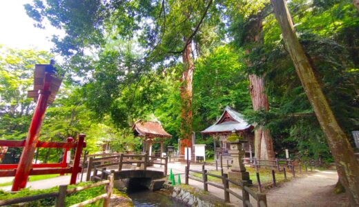 DSC 0924 520x300 - Sazae Temple [Fukushima]