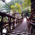 DSC 1184 150x150 - 大麻比古神社【徳島県】