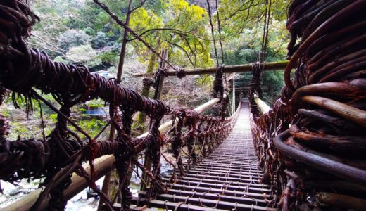 Vine Bridge in the Iya Valley [Tokushima]