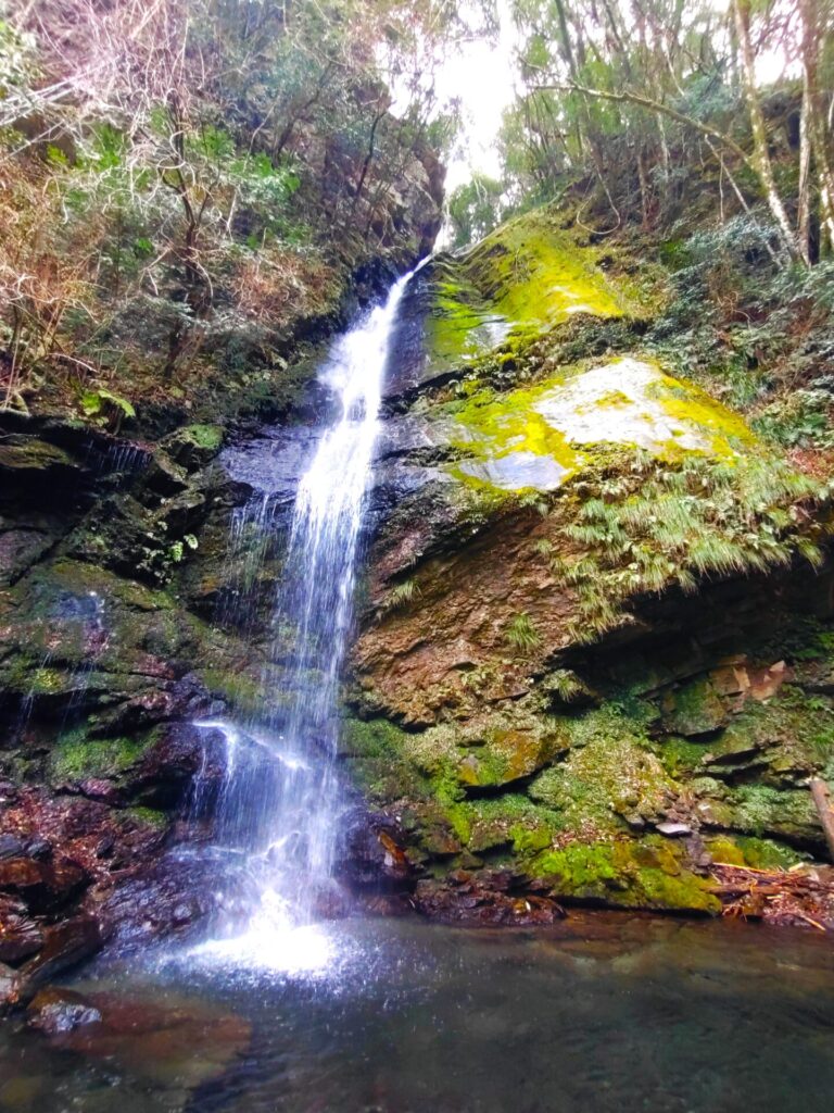 DSC 1194 1 768x1024 - 祖谷のかずら橋【徳島県】