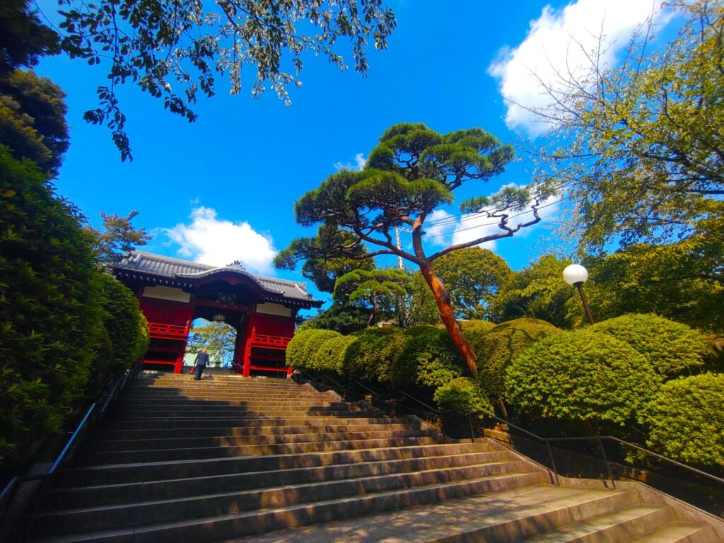 DSC 1214 1024x768 - 護国寺【東京都】