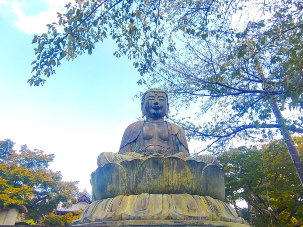 DSC 1223 1024x768 - 護国寺【東京都】