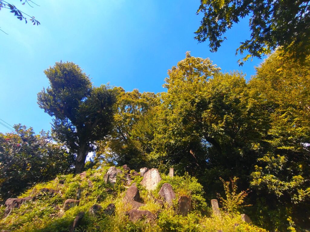 DSC 1235 1024x768 - 護国寺【東京都】