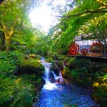 DSC 1295 150x150 - Heirin-ji Temple [Saitama]