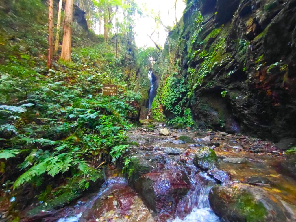 DSC 1310 1024x768 - 黒山三滝【埼玉県】