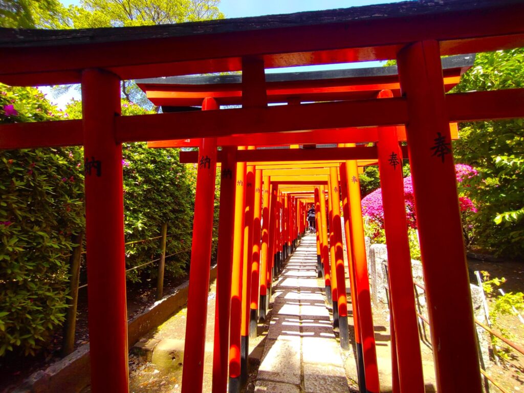 DSC 1330 1024x768 - Nezu Shrine and Otome Inari Shrine [Tokyo]