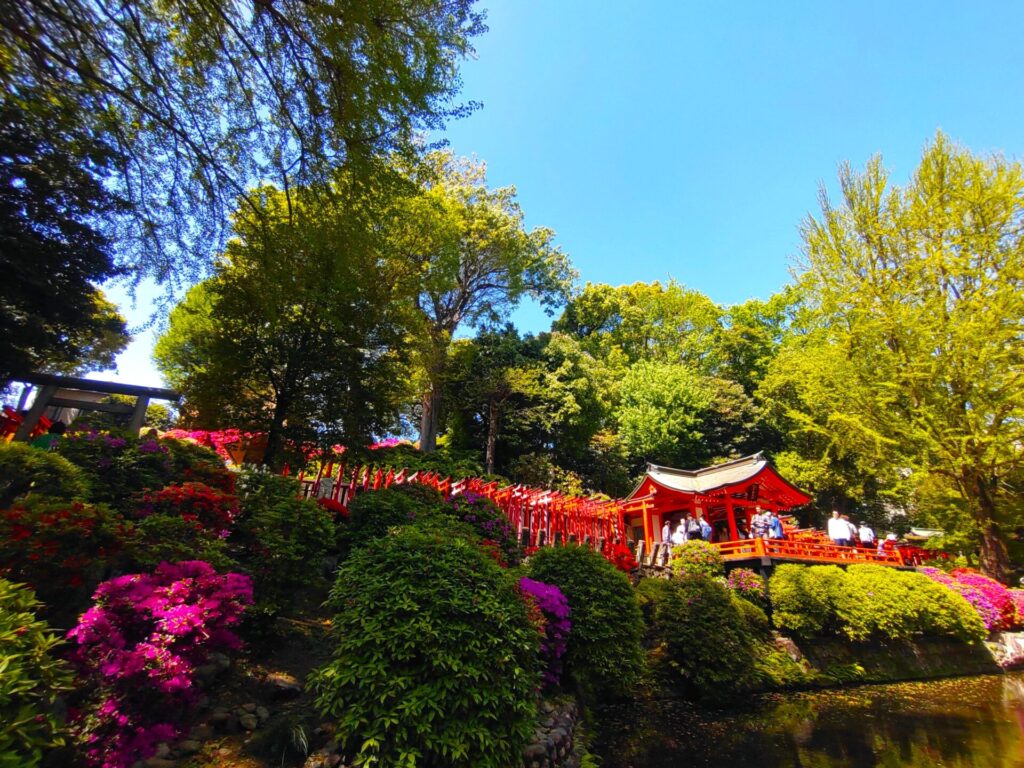 DSC 1332 1024x768 - Nezu Shrine and Otome Inari Shrine [Tokyo]