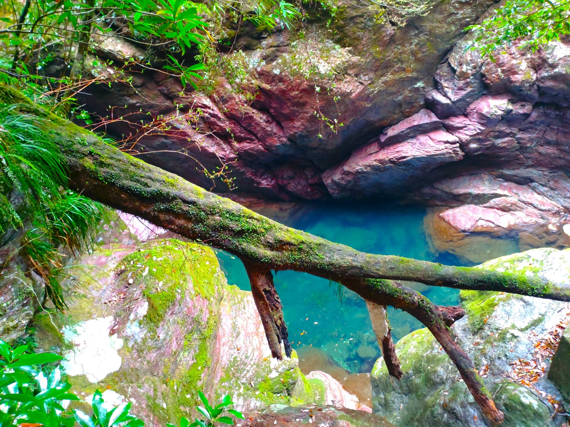 中津渓谷 笑いの里 竜神七福神【高知県】 | 【御朱印・絶景】日本の
