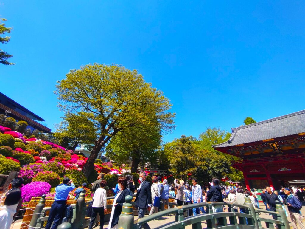 DSC 1376 1024x768 - 根津神社と乙女稲荷神社【東京都】