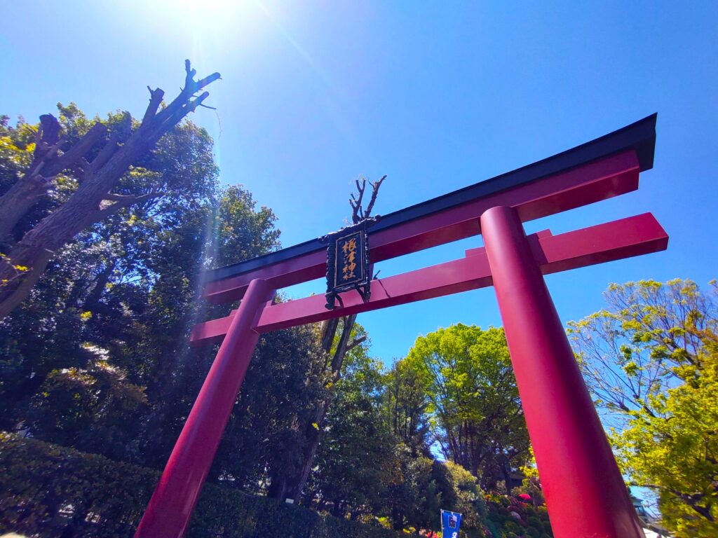 DSC 1377 2 1024x768 - 根津神社と乙女稲荷神社【東京都】