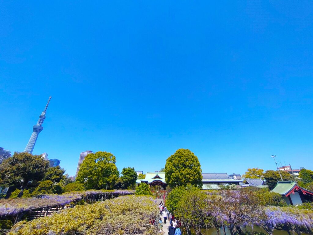 DSC 1407 1024x768 - 亀戸天神社【東京都】