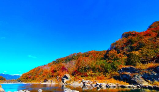 月の石もみじ公園・埼玉県立自然の博物館【埼玉県】