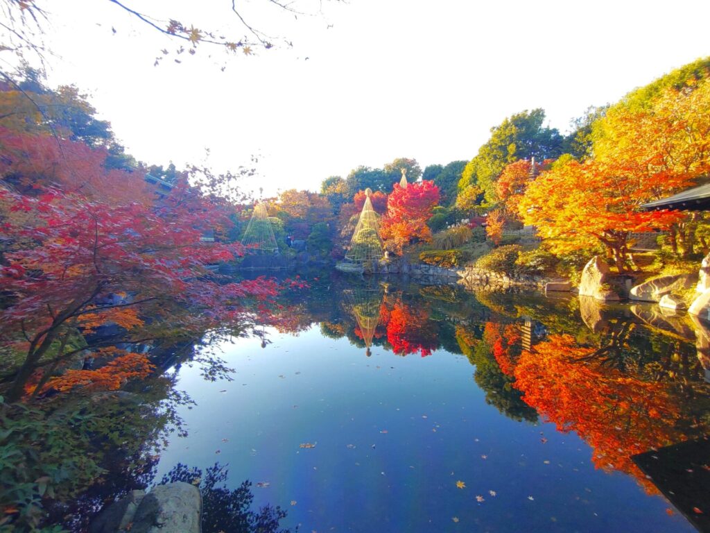 DSC 1548 1024x768 - 目白庭園【東京都】