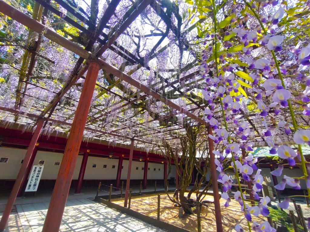 笠間稲荷神社【茨城県】 DSC 1551 1 1024x768 - 笠間稲荷神社【茨城県】