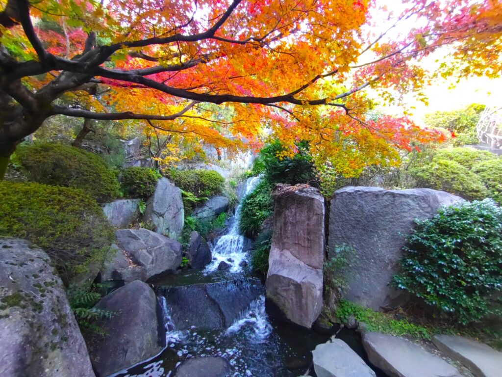 DSC 1551 1024x768 - 目白庭園【東京都】