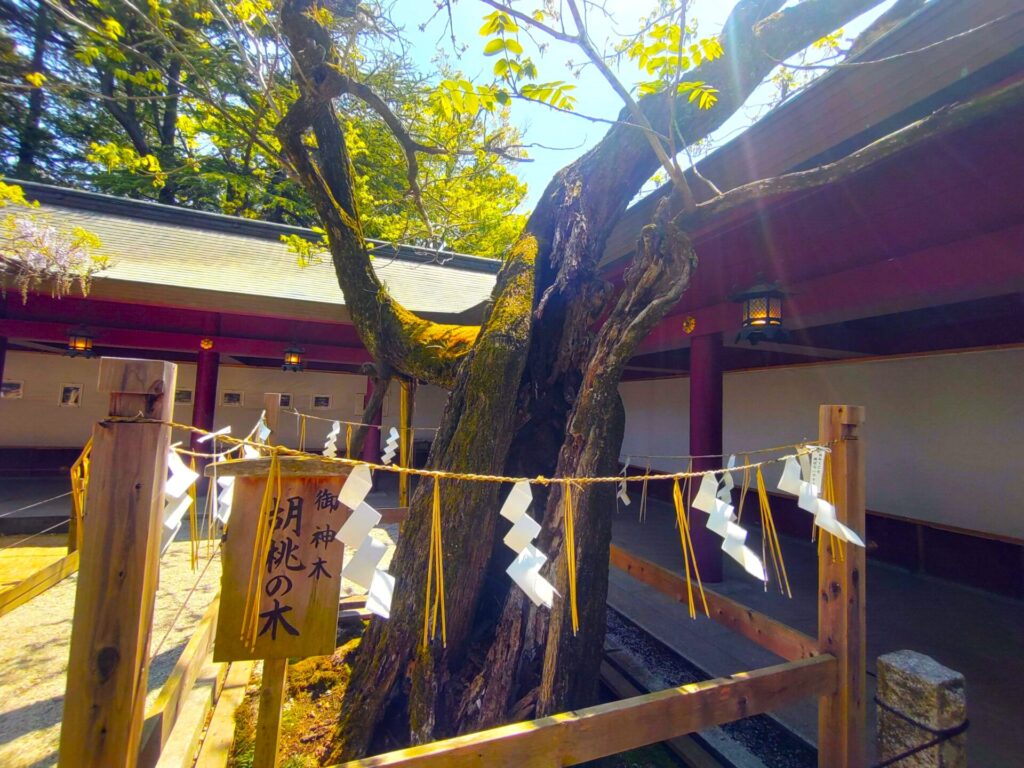 笠間稲荷神社【茨城県】 DSC 1553 1 1024x768 - 笠間稲荷神社【茨城県】
