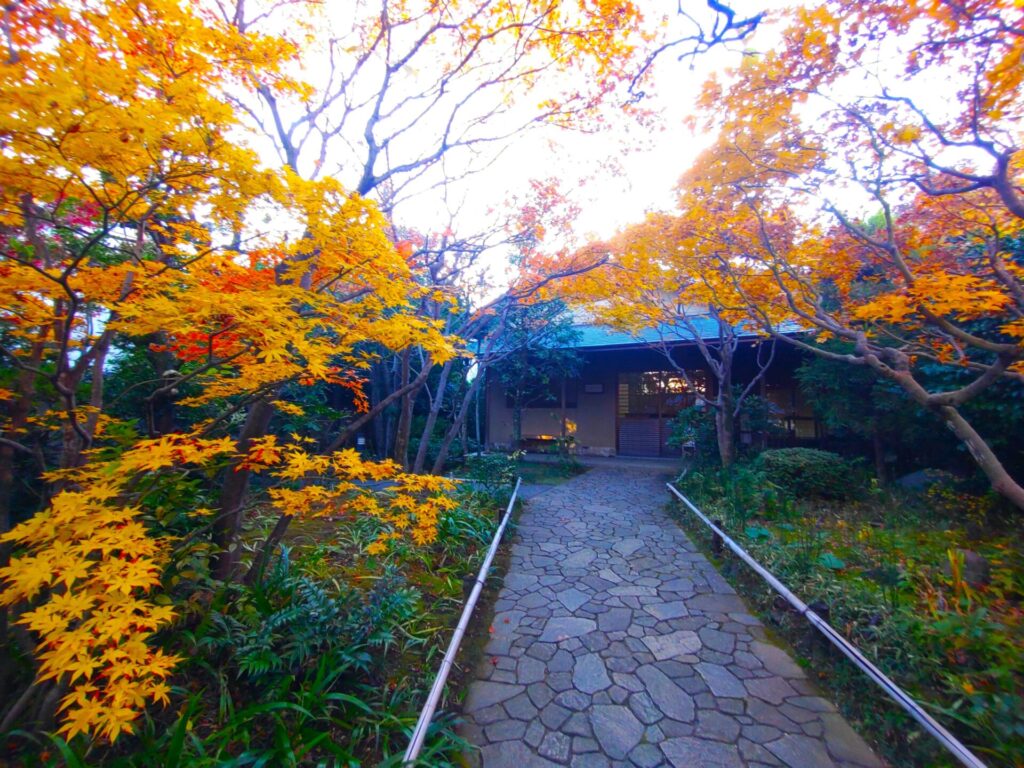 DSC 1573 1024x768 - 目白庭園【東京都】