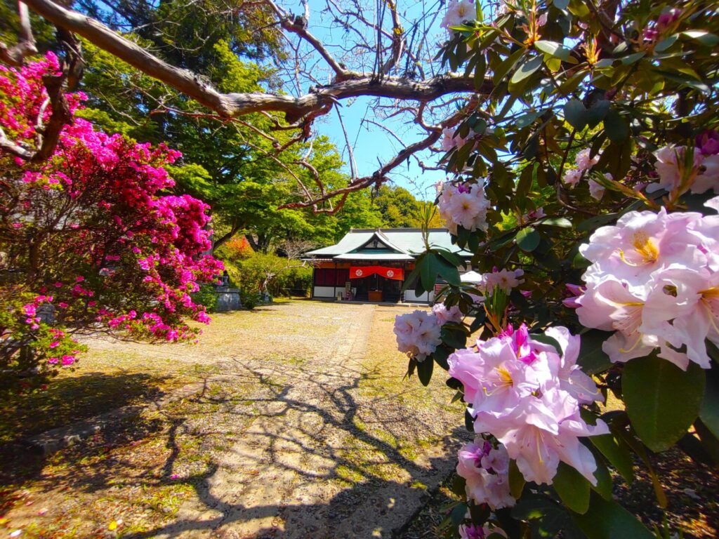 正福寺と笹間つつじ公園【茨城県】 DSC 1577 1024x768 - 正福寺と笹間つつじ公園【茨城県】