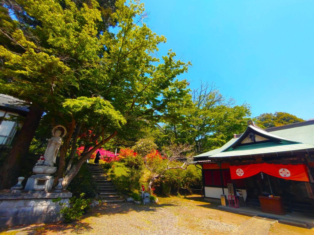 正福寺と笹間つつじ公園【茨城県】 DSC 1582 1024x768 - 正福寺と笹間つつじ公園【茨城県】