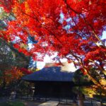 DSC 1588 2 150x150 - Hijiri Shrine [Saitama]