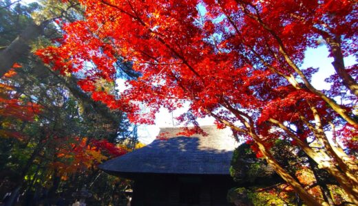 Heirin-ji Temple [Saitama]