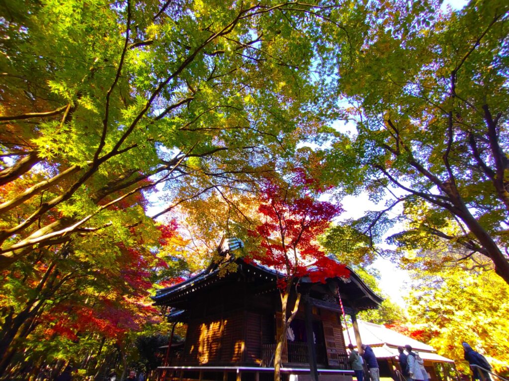 DSC 1607 1024x768 - Heirin-ji Temple [Saitama]