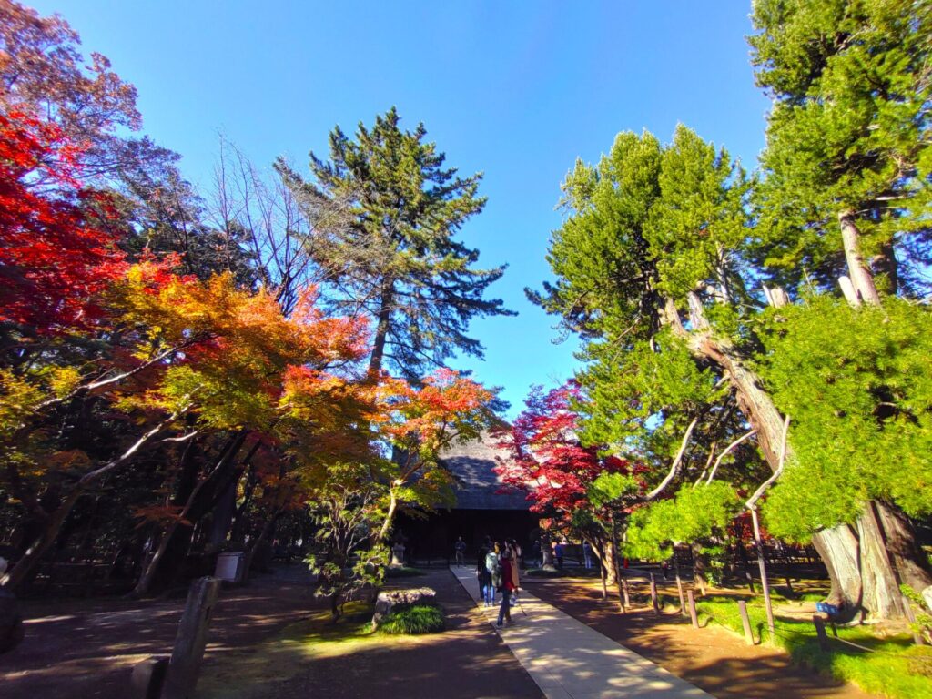 DSC 1623 1024x768 - Heirin-ji Temple [Saitama]