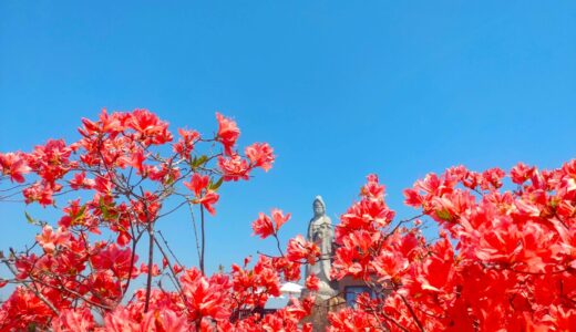 DSC 1628 R 520x300 - 寺・仏閣一覧