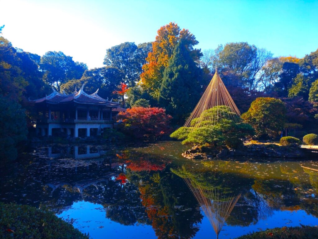 DSC 1702 1024x768 - Shinjuku Gyoen [Tokyo]