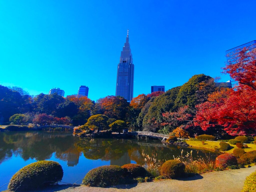 DSC 1706 1 1024x768 - Shinjuku Gyoen [Tokyo]