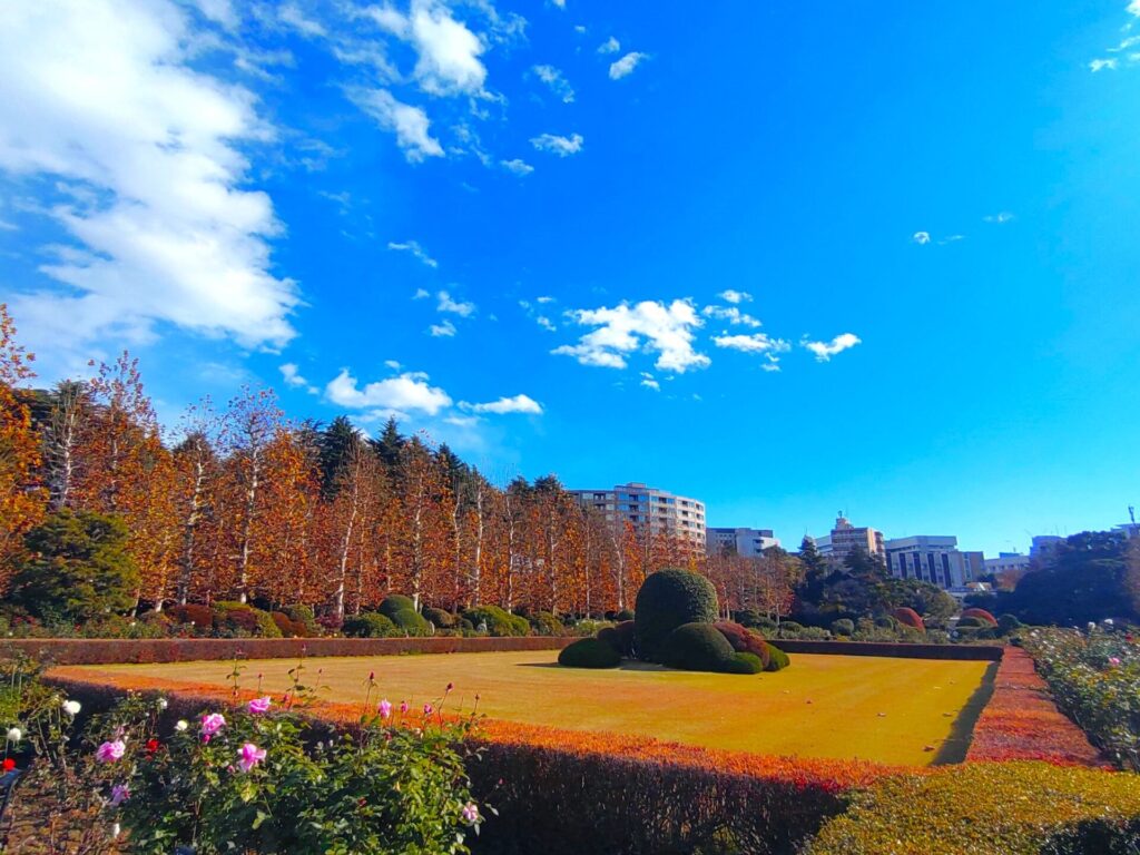 DSC 1732 1024x768 - Shinjuku Gyoen [Tokyo]