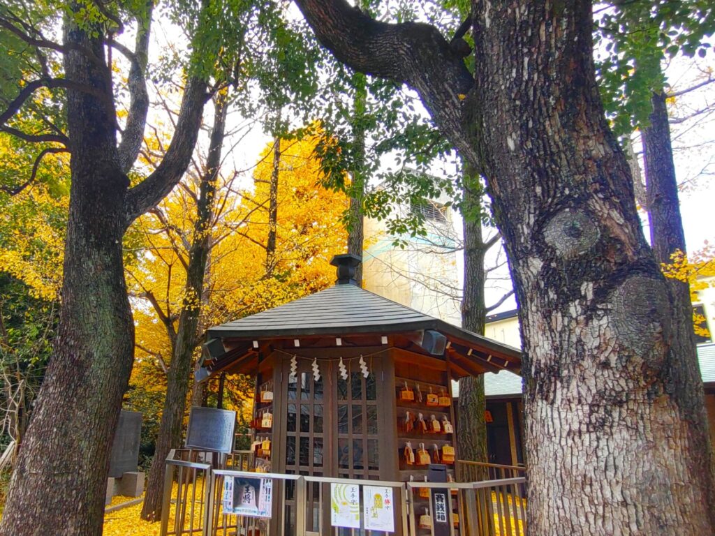 DSC 1758 1024x768 - Hatomori Hachiman Shrine [Tokyo]