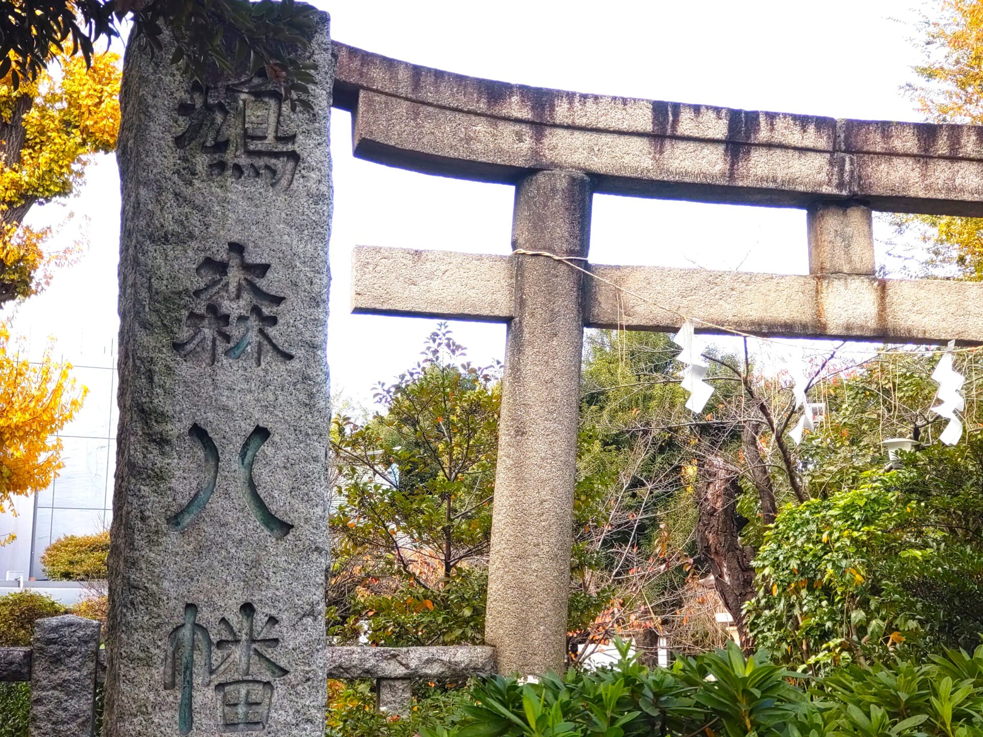 真作/松歳/八幡鳩図/松に鳩図/鳥図/八幡神社/八幡神使/名家伝来/AE-97 真作/松歳/八幡鳩図/松に鳩図/鳥図/八幡神社/八幡